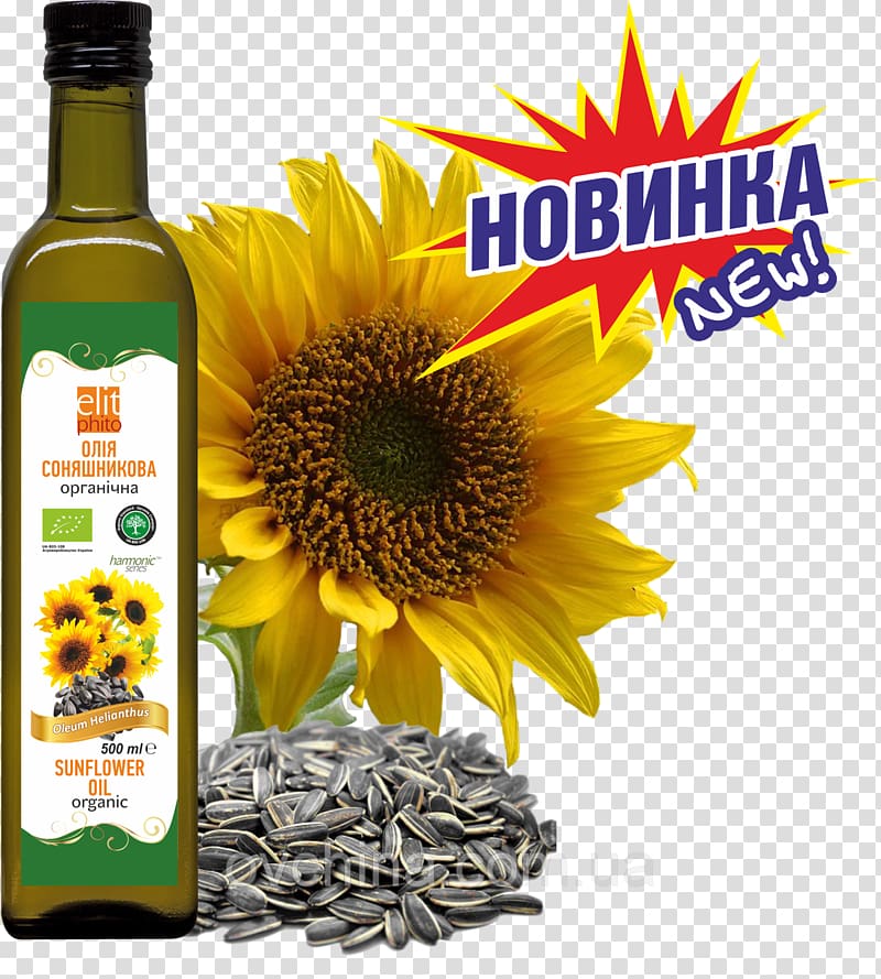 Sunflower seed Vegetable oil Common sunflower Grist, grease prom transparent background PNG clipart