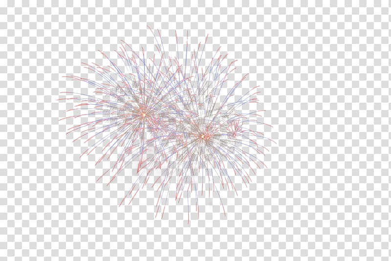 Desktop Computer Tree Sky plc , fireworks transparent background PNG clipart