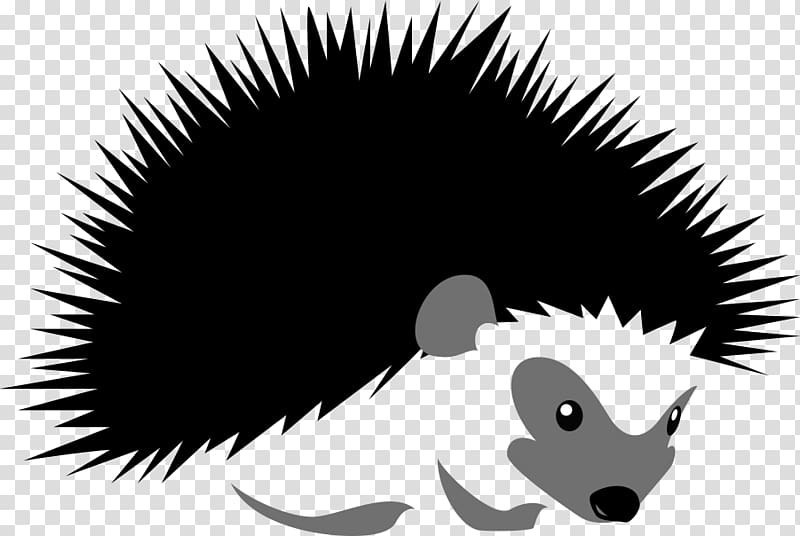 black and gray hedgehog , Hedgehog illustration Silhouette Illustration, Cartoon Hedgehog transparent background PNG clipart