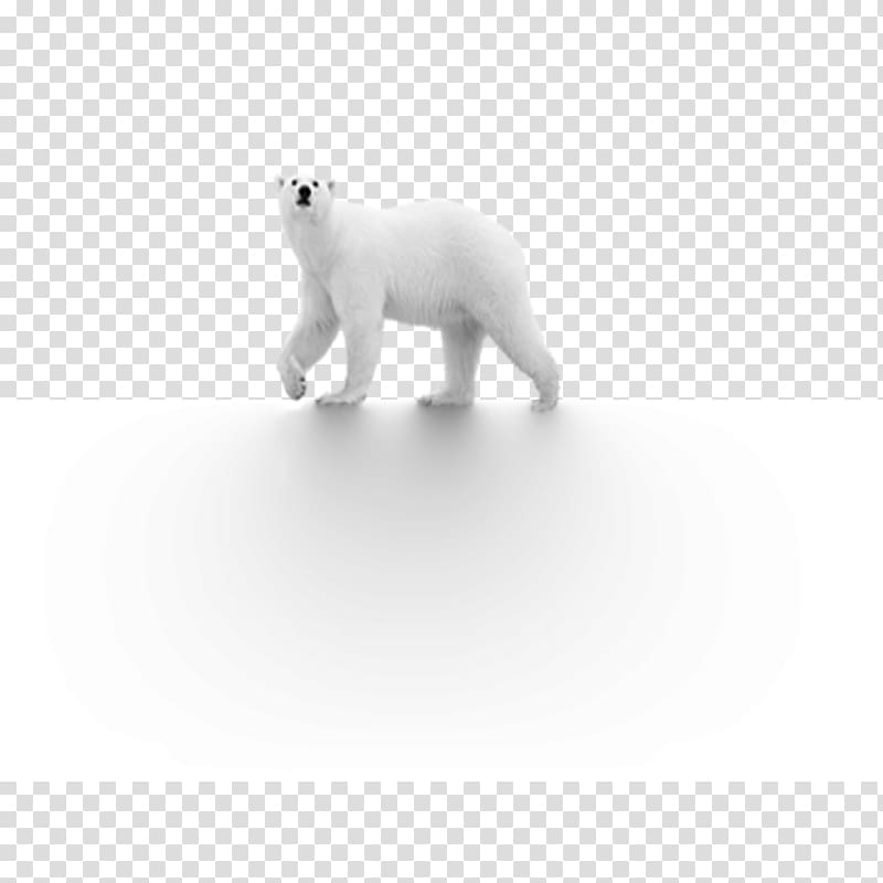 Polar bear Dog Black and white, Polar bear transparent background PNG clipart