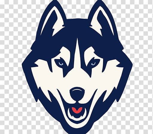 University of Connecticut Connecticut Huskies men\'s basketball Connecticut Huskies football Connecticut Huskies women\'s basketball East Coast Rugby Conference, husky transparent background PNG clipart
