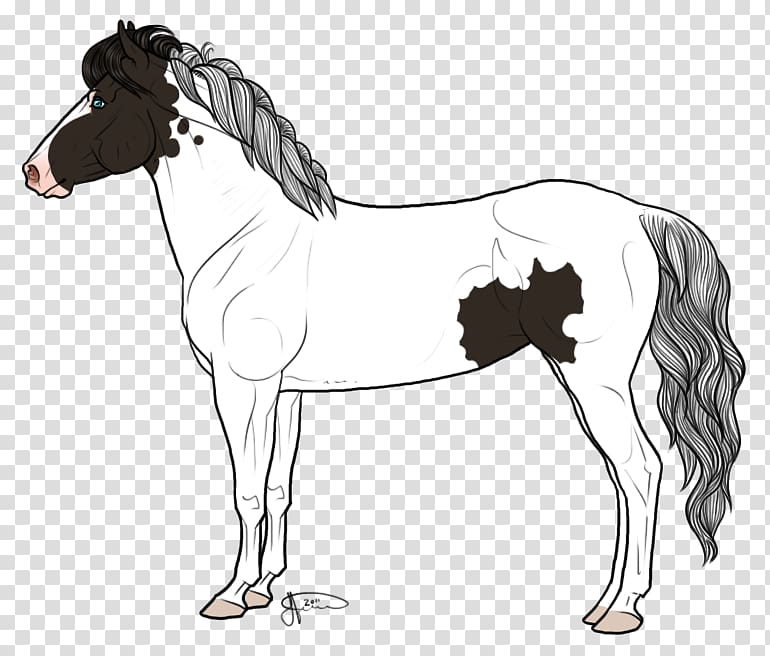 Mule Mustang Mare Icelandic horse Stallion, Icelandic Horse transparent background PNG clipart