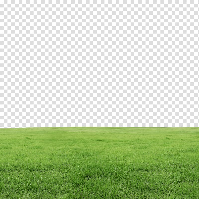 field of grass, Lawn, Grass transparent background PNG clipart