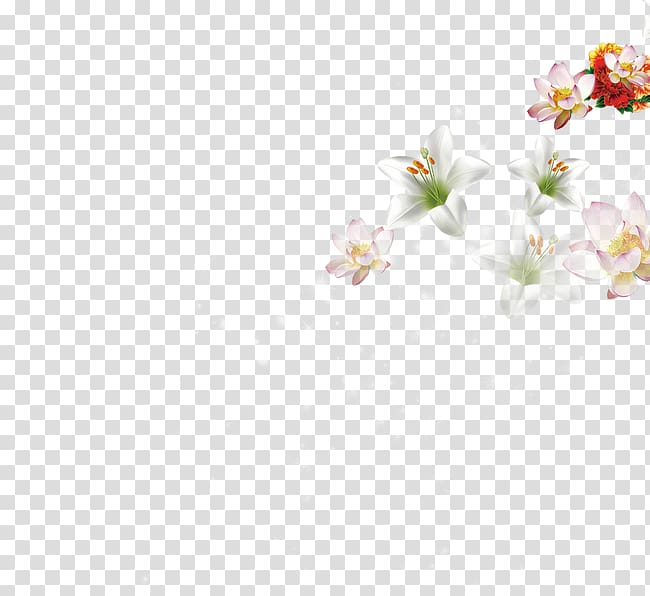Textile Petal White Pattern, Floating Flower transparent background PNG clipart