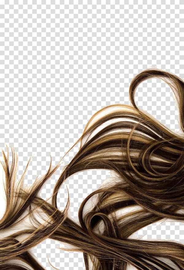 flowing hair transparent background PNG clipart