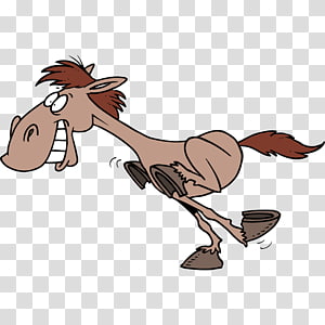 Horse Pony graphics , horse transparent background PNG clipart thumbnail