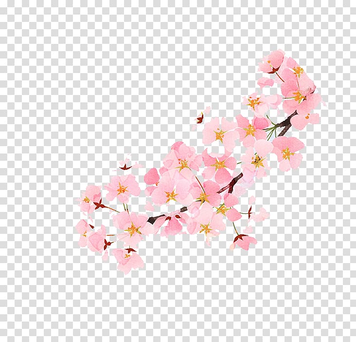 Lander Game u3042u3084u304bu3057u3080u3059u3073 Falling in love, Pink cherry blossoms in full bloom transparent background PNG clipart