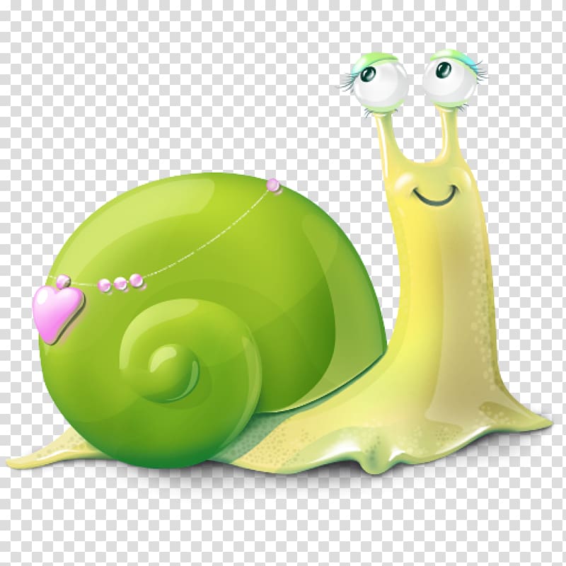 Sea snail Seashell Slug , Snail transparent background PNG clipart