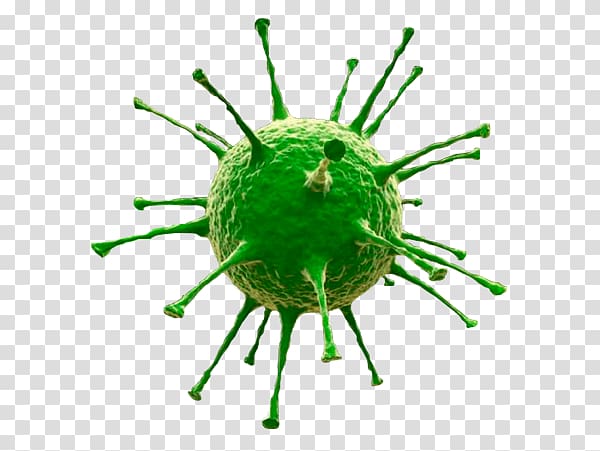 Marburg virus Bacteria Pathogen Computer virus, others transparent background PNG clipart