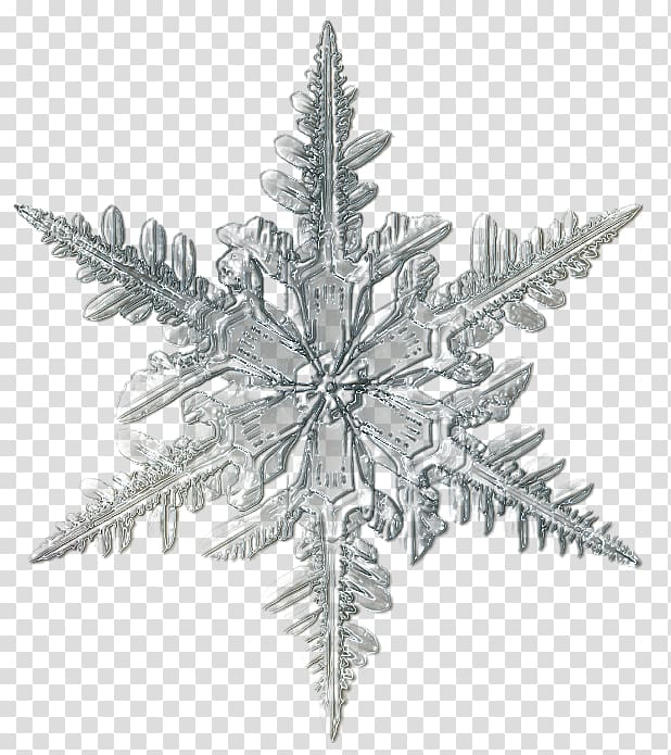 Snowflake Microscope Ice Crystal, christmas snowflake transparent background PNG clipart