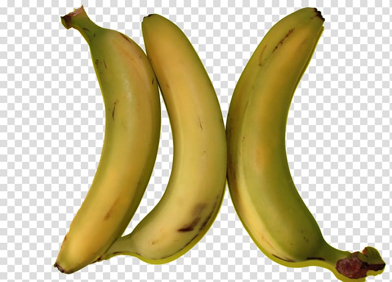 Organic food Cooking banana Fruit, banana transparent background PNG clipart