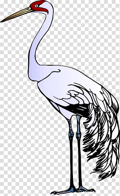 Red-crowned crane Heron Stork , crane transparent background PNG clipart