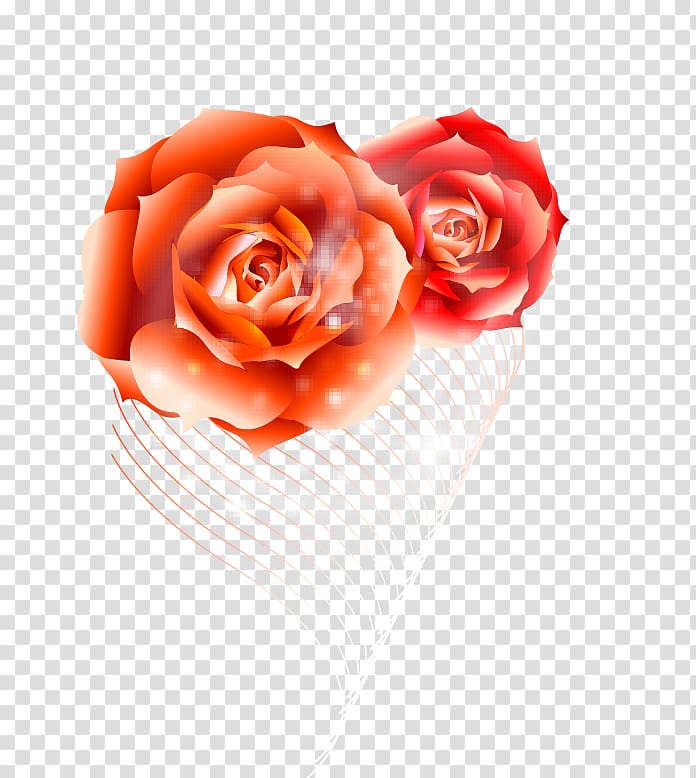 Flower , Beautiful roses fantasy curve line transparent background PNG clipart
