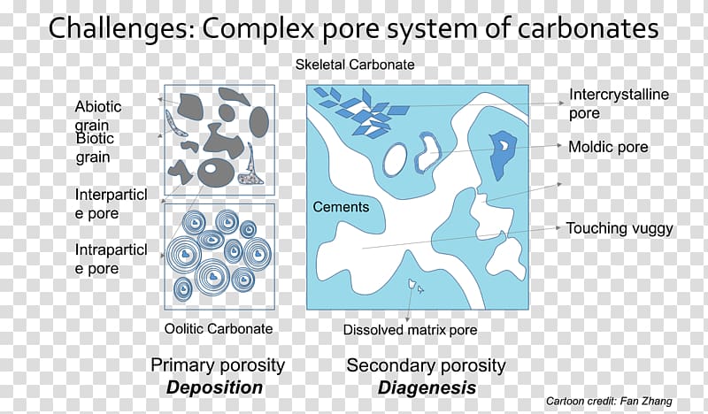 Porosity Carbonate rock Geophysics, research cartoon transparent background PNG clipart