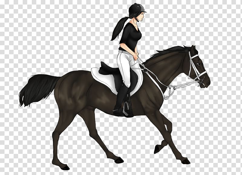 Dressage Stallion Mustang Hunt seat Rein, mustang transparent background PNG clipart