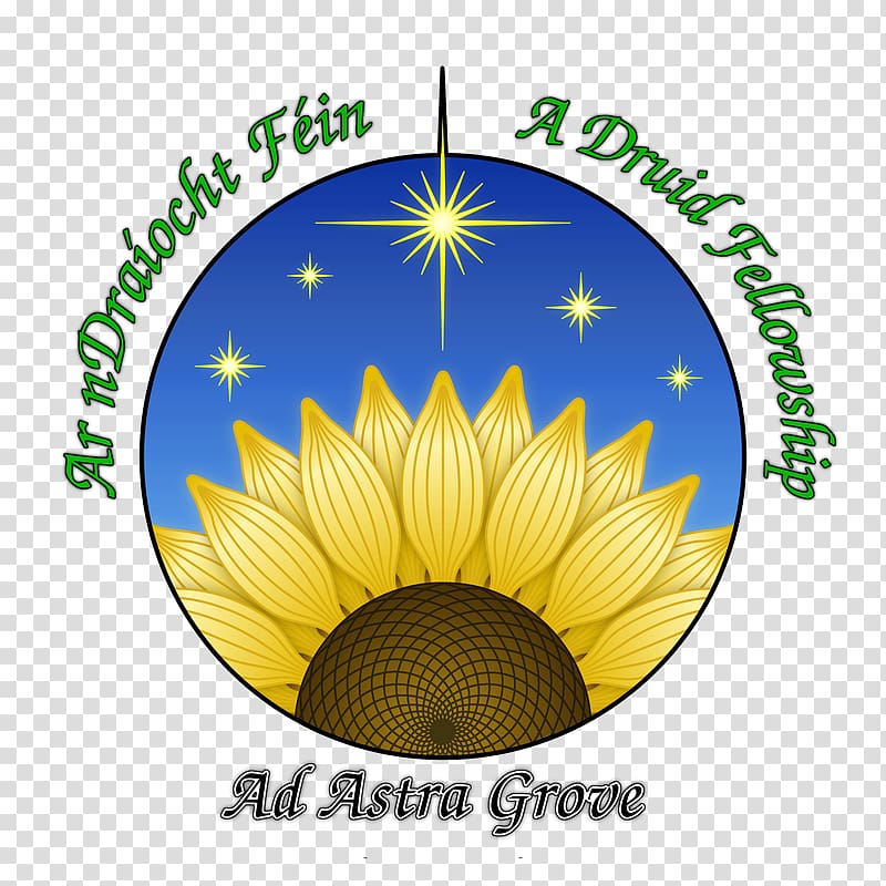 Druid Ár nDraíocht Féin Divination Faith Belief, Grove transparent background PNG clipart