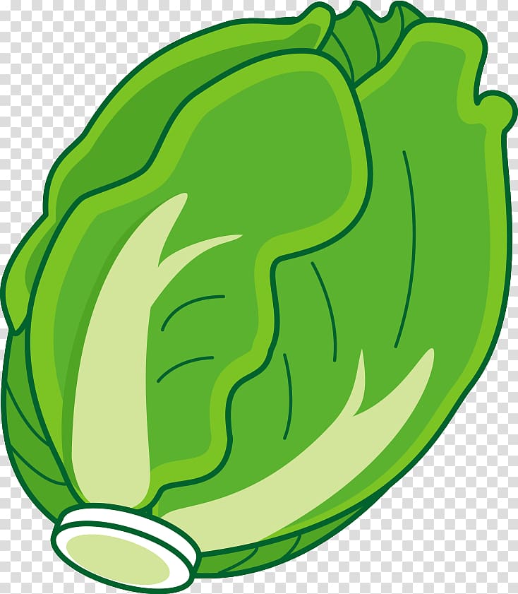 Free download | Napa cabbage Nabemono Leaf vegetable Oden, vegetable ...