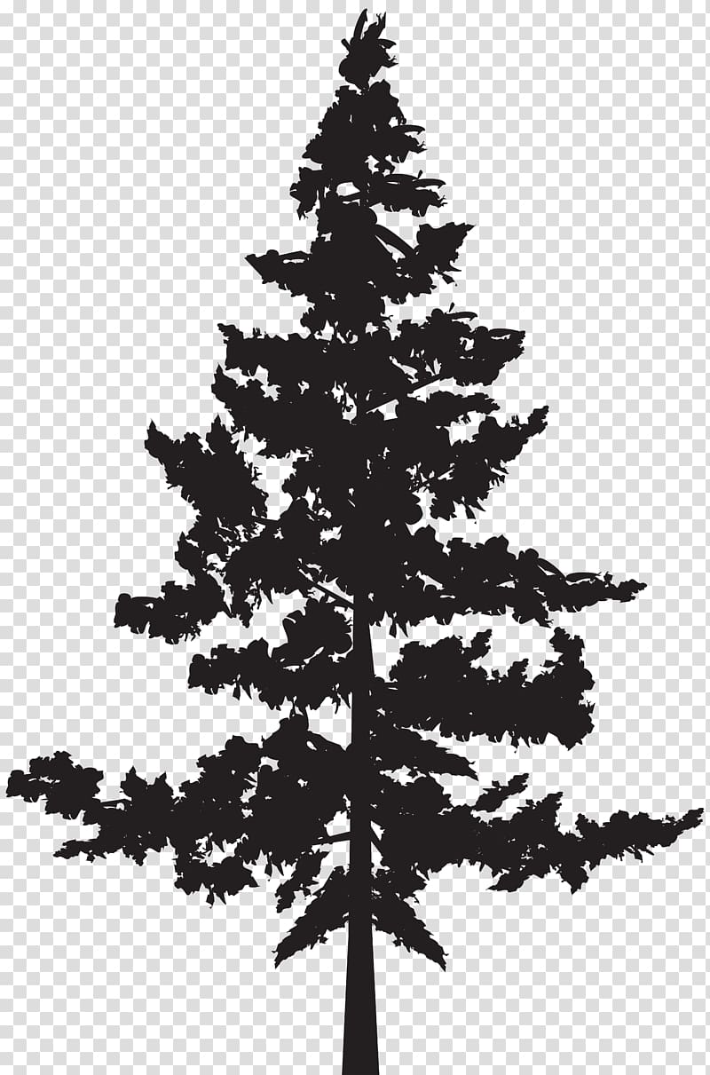 black tree illustration, Western red-cedar Tree Evergreen Blue spruce, tree silhouette transparent background PNG clipart