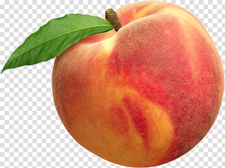 Palisade Nectarine Drupe Apricot Fruit, peach fruit transparent background PNG clipart