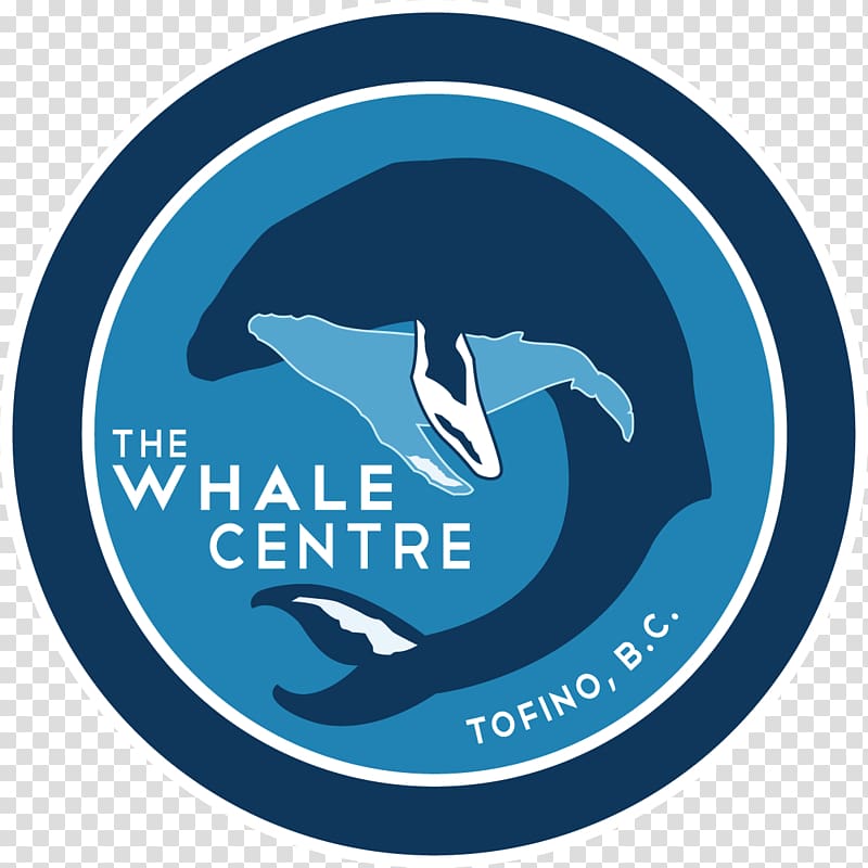 The Whale Centre Logo Brand Dolphin, dolphin transparent background PNG clipart