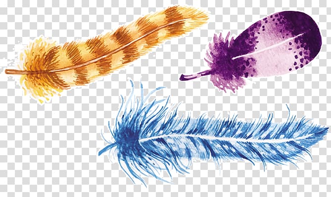 Feather Bird Euclidean , Colored feathers transparent background PNG clipart
