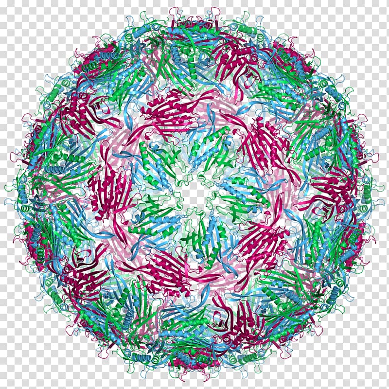 Capsid Bacteriophage MS2 RNA virus, virus transparent background PNG clipart