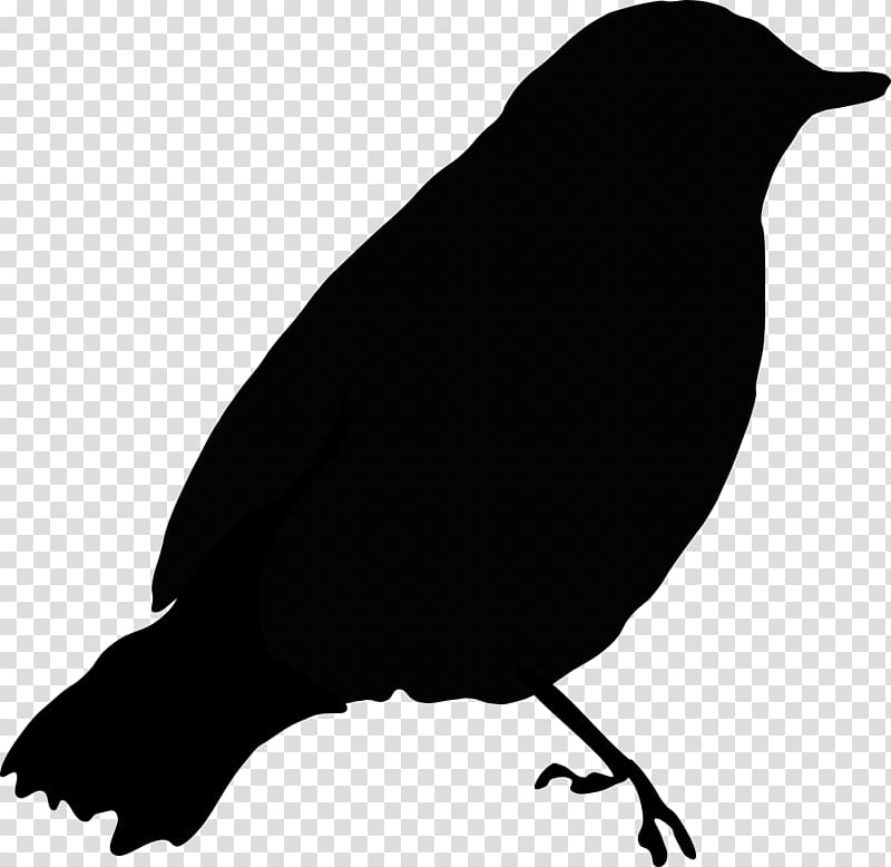Common blackbird Crows , gray transparent background PNG clipart
