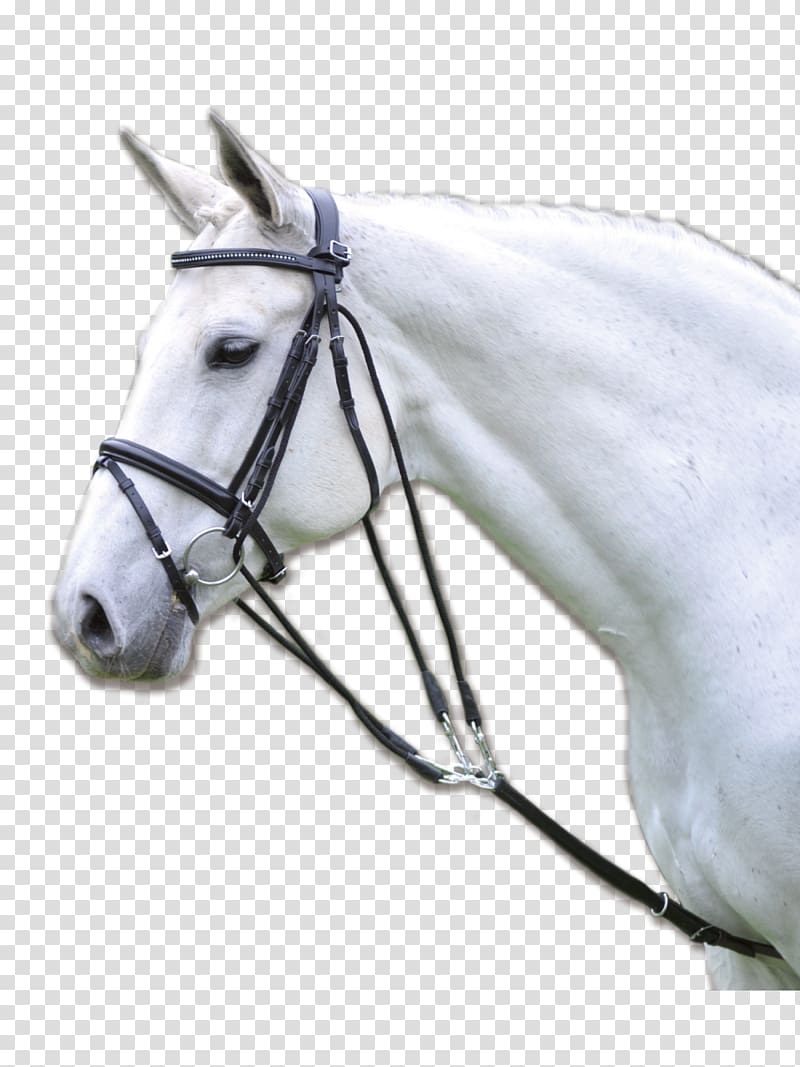 Horse Equestrian Chambon Longeing Rein, horse transparent background PNG clipart