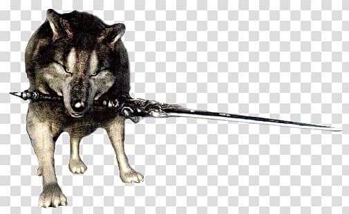 wolf biting grey sword, Dark Souls Dog transparent background PNG clipart