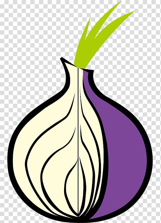 Tor Browser .onion Onion routing Web browser, onion transparent background PNG clipart