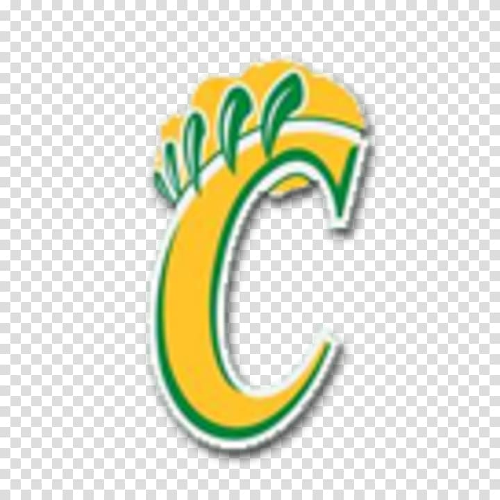 Spanish Fort High School Michigan Wolverines men's basketball George Washington Carver High School Michigan Wolverines women's basketball Carver Senior High School, Carver Middle School transparent background PNG clipart