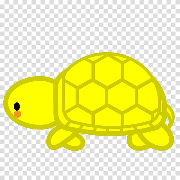 Turtle Reptile Red-footed tortoise Black and white, tortoide transparent background PNG clipart