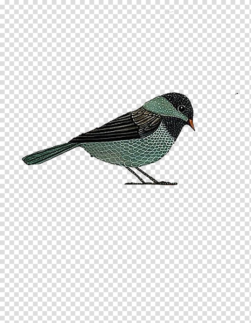 Jack Sparrow Finch Eurasian tree sparrow, Hand drawn sparrow transparent background PNG clipart