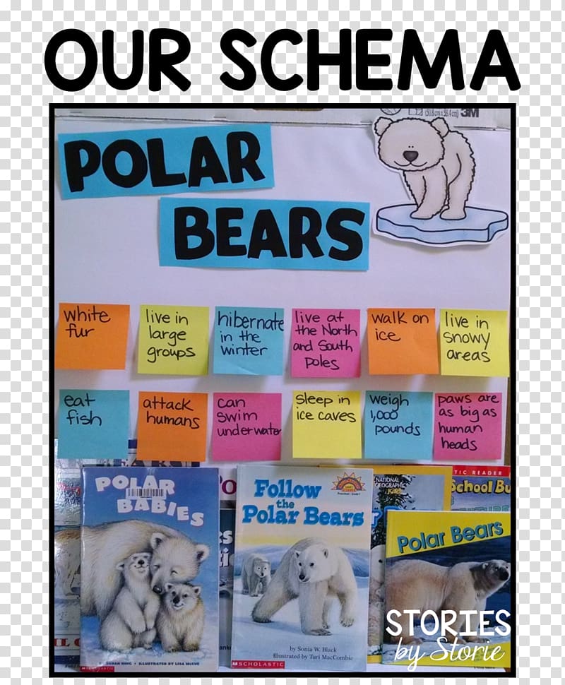 How Do Polar Bears Stay Warm? Homework Classroom, polar bear transparent background PNG clipart