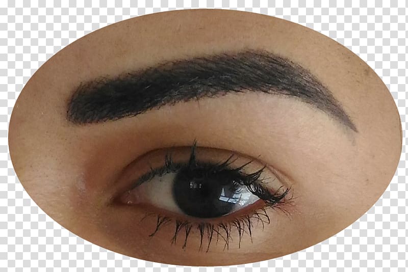 Eye liner Permanent makeup Eyebrow Eye Shadow Microblading, SOBRANCELHA transparent background PNG clipart