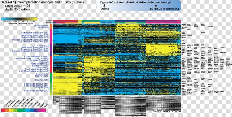 Transcriptome RNA-Seq Computer Software DNA microarray Data set, discov transparent background PNG clipart
