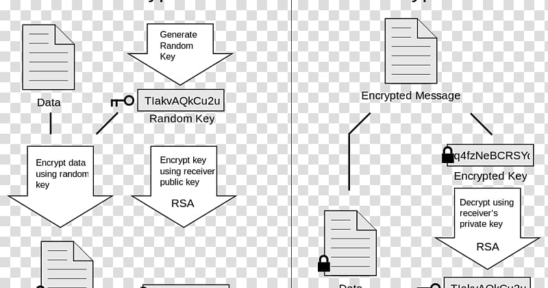 Pretty Good Privacy End-to-end encryption GNU Privacy Guard Cryptography, key transparent background PNG clipart