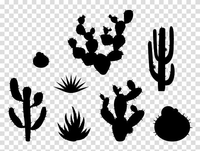 Wall decal Desert Succulent plant Sticker, desert transparent background PNG clipart