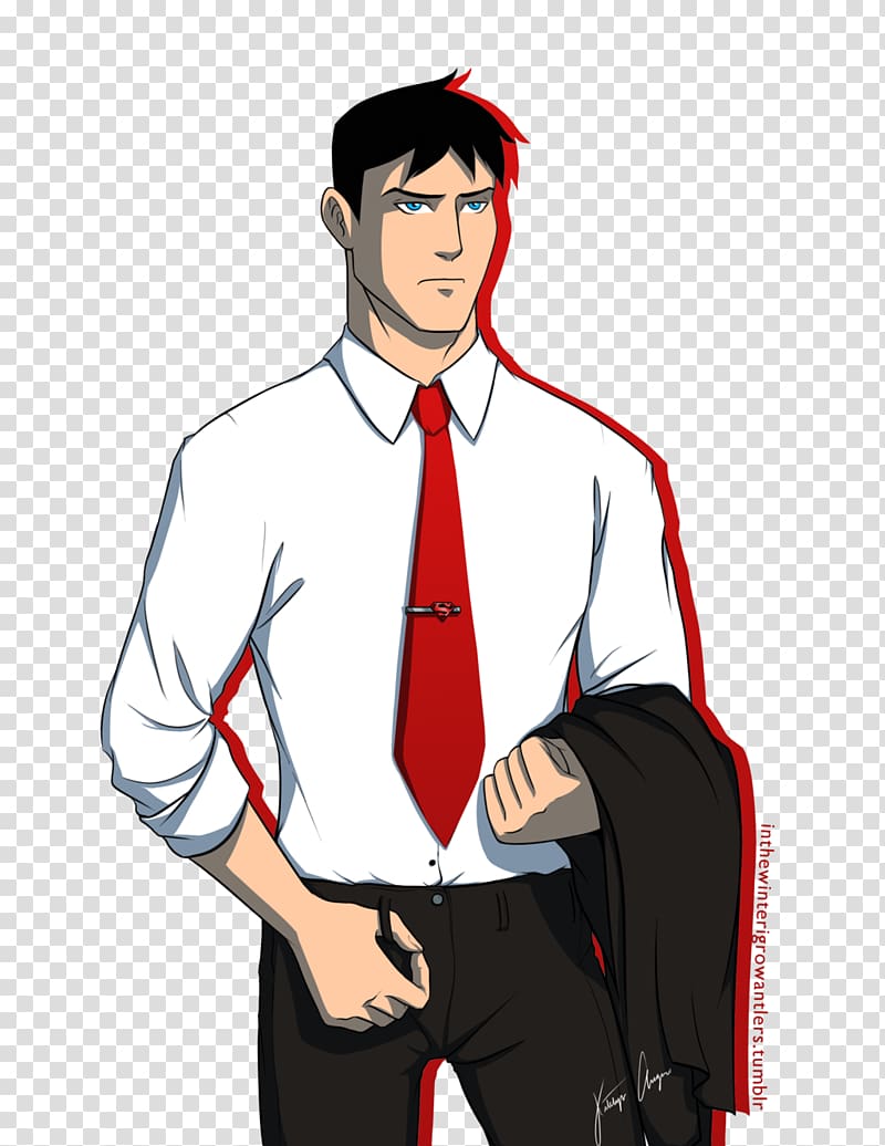Superboy Superman Young Justice Diana Prince Red Tornado, zatanna transparent background PNG clipart