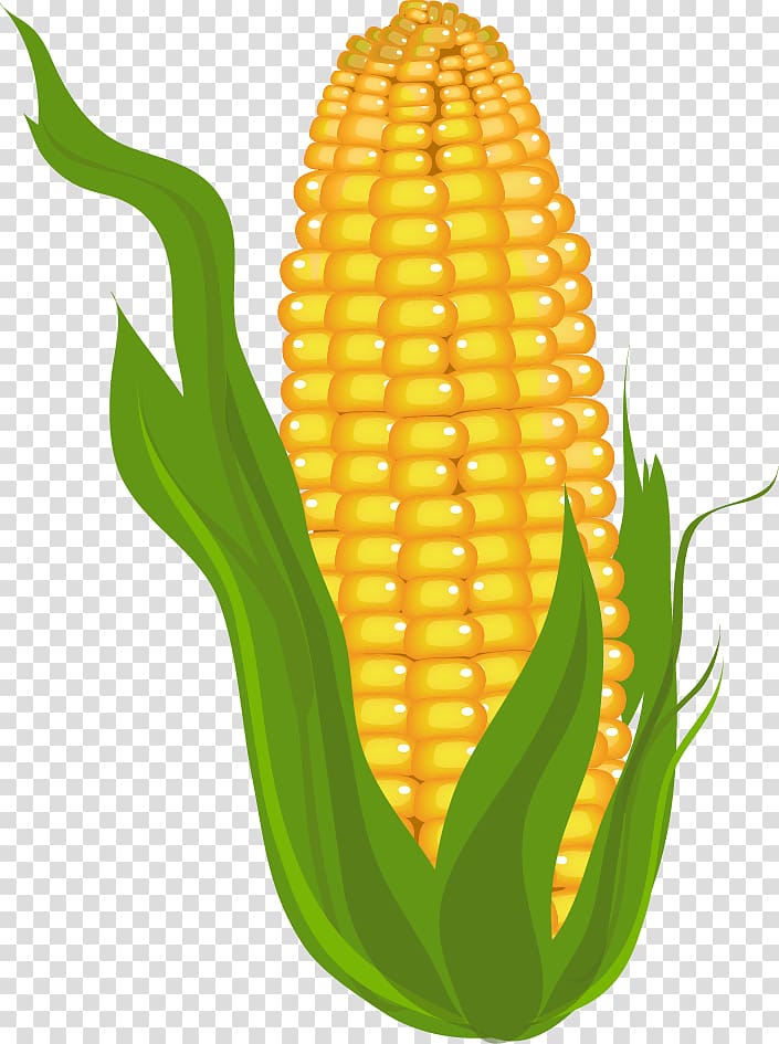 Candy corn Corn on the cob Maize , commodity transparent background PNG clipart