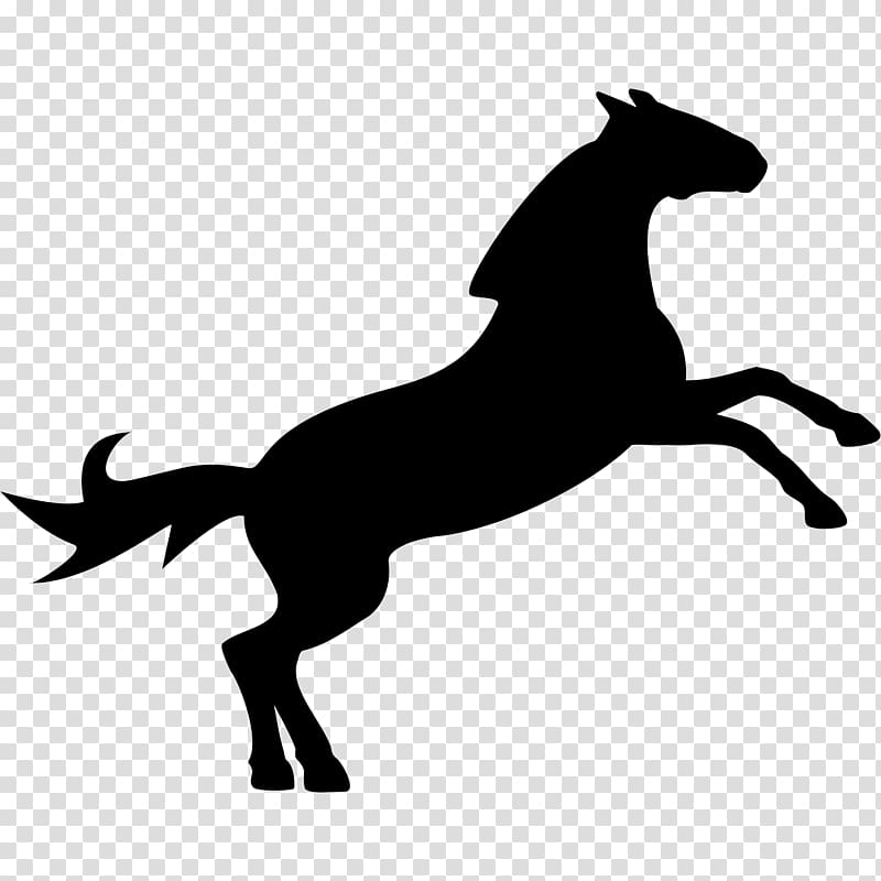 Horse Show jumping Equestrian , horses transparent background PNG clipart