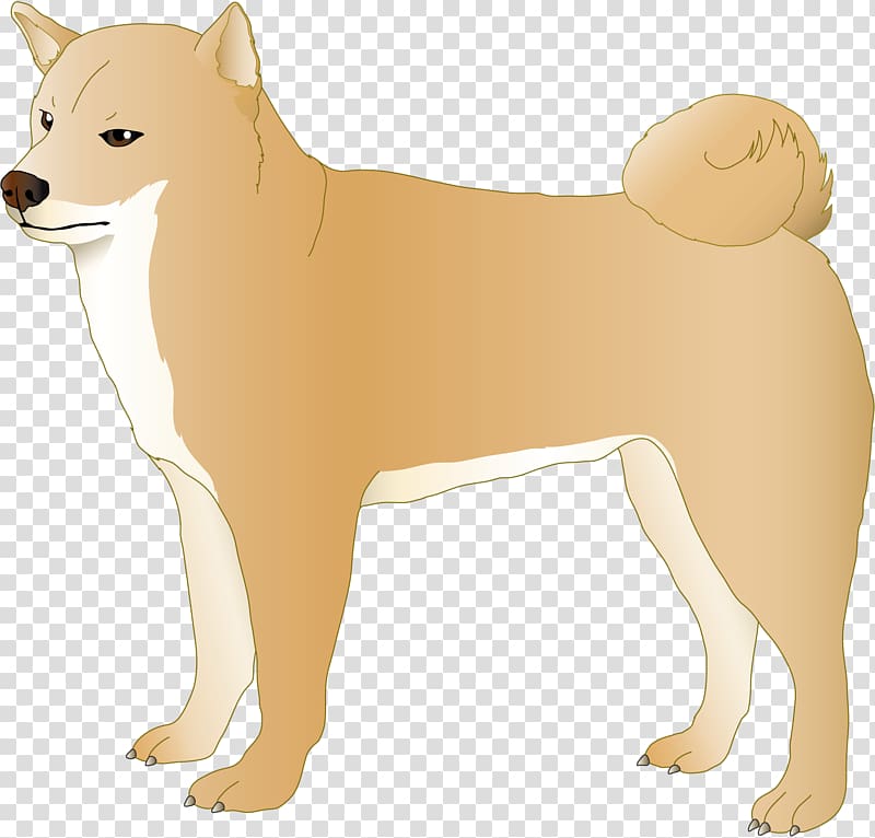 Finnish Spitz Canaan Dog Puppy Dog breed, doggie transparent background PNG clipart