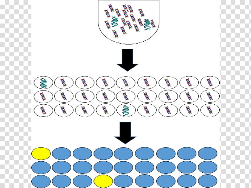 Digital polymerase chain reaction Molecular biology Technology, technology transparent background PNG clipart