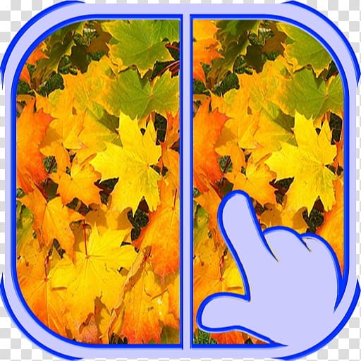 Maple leaf Autumn leaf color Yellow, Spot The Difference transparent background PNG clipart