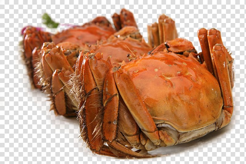 Dungeness crab Shanghai cuisine King crab Soft-shell crab, Crabs transparent background PNG clipart