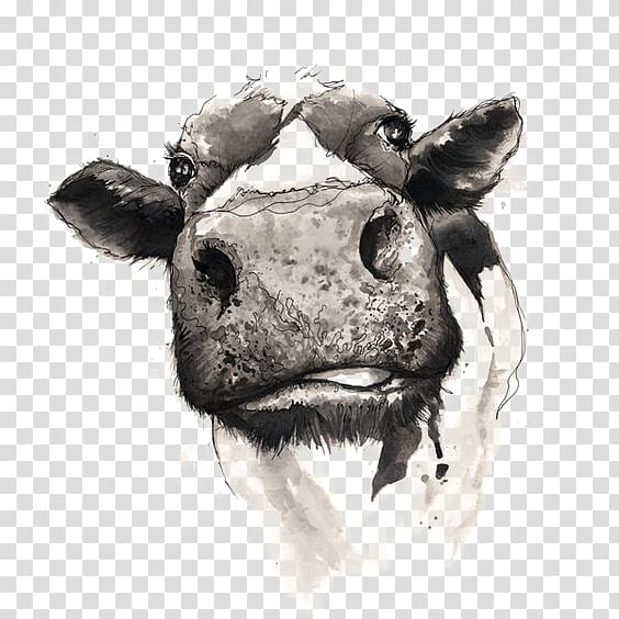 gray cattle head illustration, Cattle Drawing Watercolor painting, Drawing Cow transparent background PNG clipart