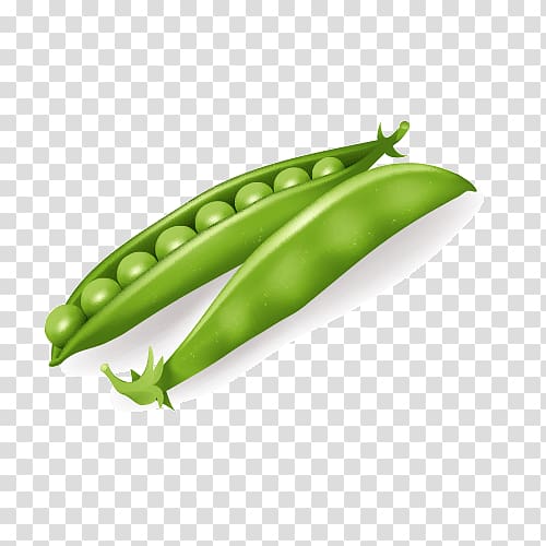 green pea illustration, Vegetable Vegetarian cuisine , pea transparent background PNG clipart