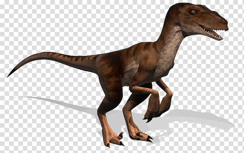 Albertosaurus Tyrannosaurus Allosaurus Pachyrhinosaurus Dinosaur, dinosaur transparent background PNG clipart