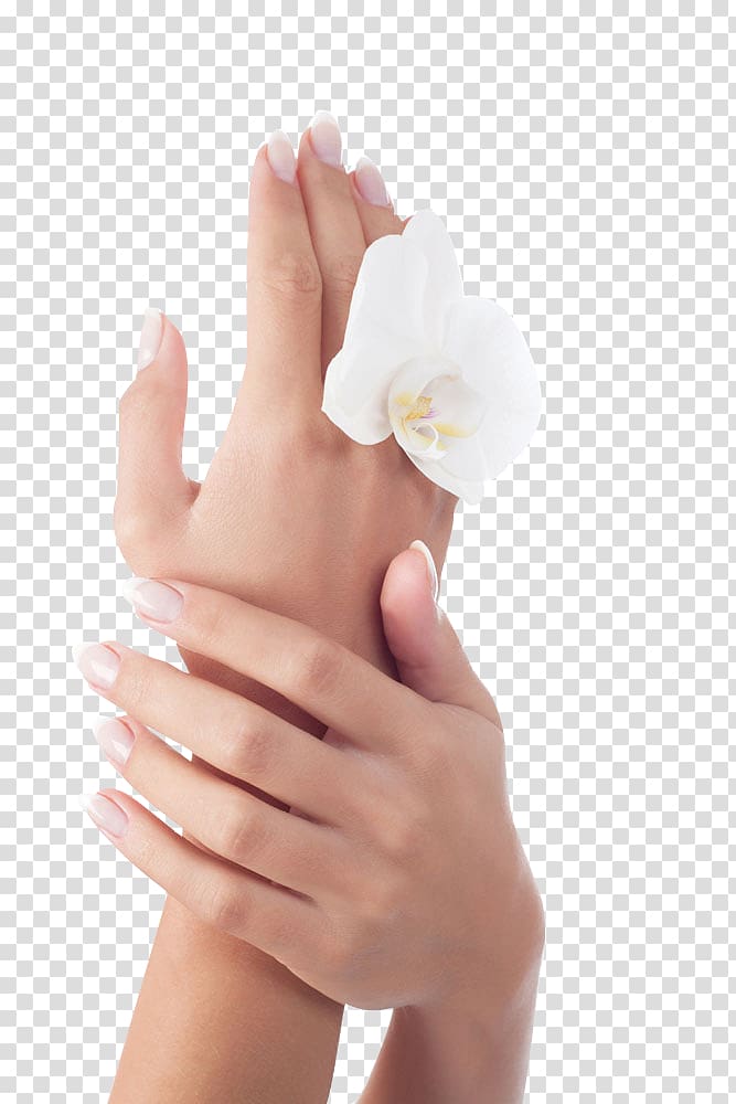 hand care and flowers transparent background PNG clipart