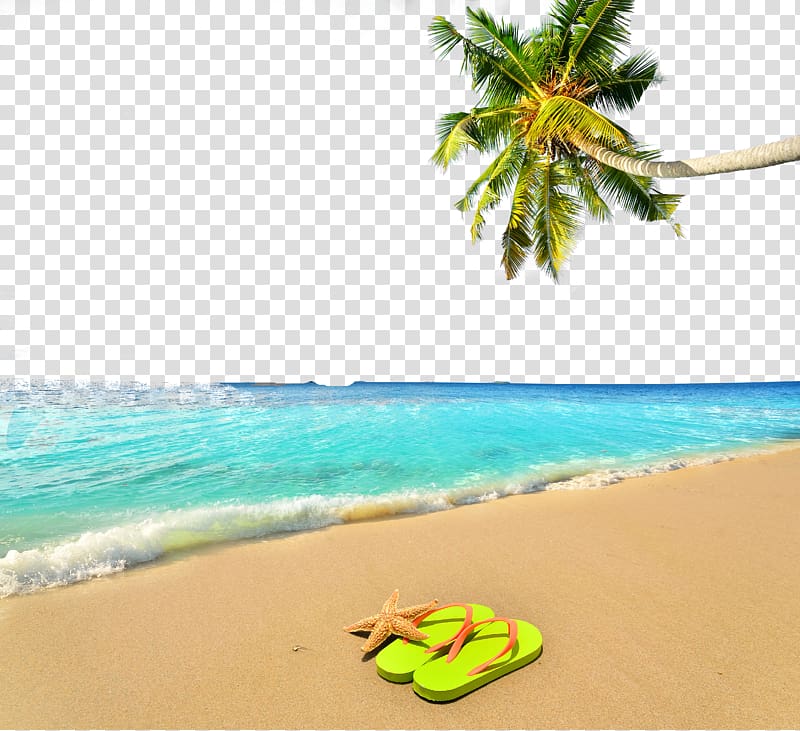 pair of green flip-flops on shore, Vacation Summer Beach, Summer beach poster background transparent background PNG clipart